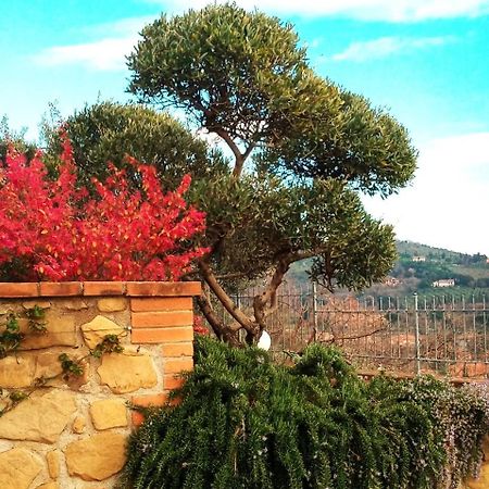 Hotel Olivo Bonsai Passignano sul Trasimeno Exterior foto